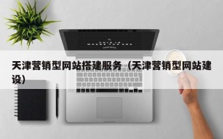 岳阳天津营销型网站搭建服务（天津营销型网站建设）