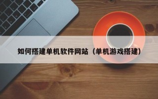 岳阳如何搭建单机软件网站（单机游戏搭建）