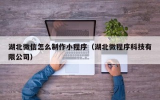 岳阳湖北微信怎么制作小程序（湖北微程序科技有限公司）